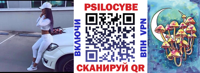 продажа наркотиков  Снежинск  Псилоцибиновые грибы MAGIC MUSHROOMS 